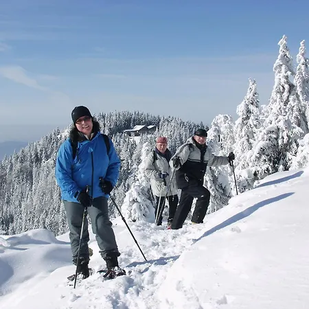 Гостевой дом Gaestehaus Weber 3*