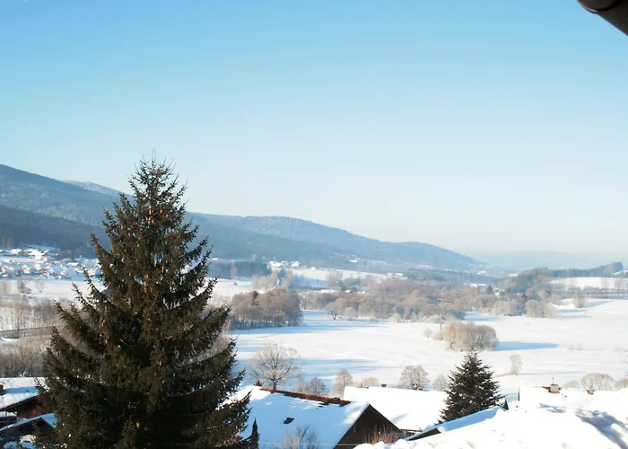 Πανσιόν Gaestehaus Weber 4*